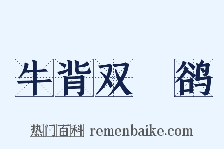 牛背双鸜鹆是什么意思的图片